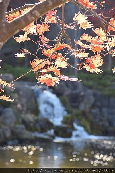 瀧野鈴蘭丘陵公園-溜滑梯%2F螞蟻窩