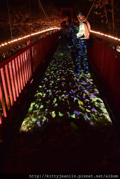 定山溪自然光之盛典（jozankei nature luminarie star bright forest by naked ）