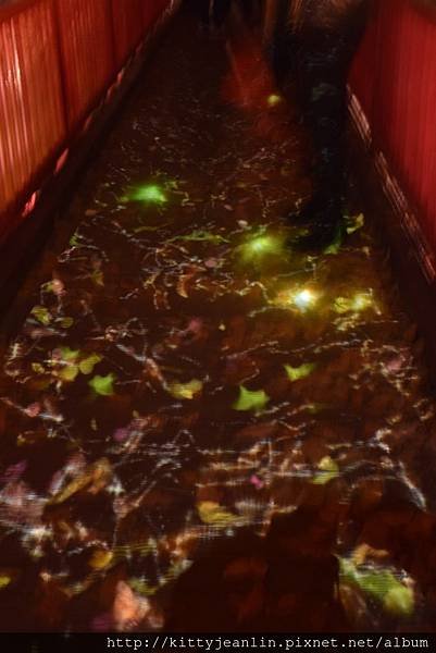 定山溪自然光之盛典（jozankei nature luminarie star bright forest by naked ）
