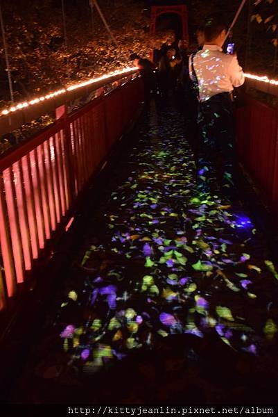 定山溪自然光之盛典（jozankei nature luminarie star bright forest by naked ）