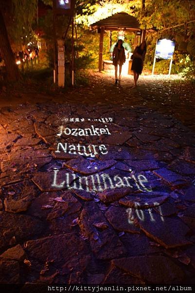 定山溪自然光之盛典（jozankei nature luminarie star bright forest by naked ）