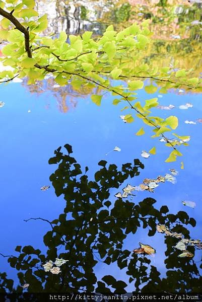 北海道舊道廳