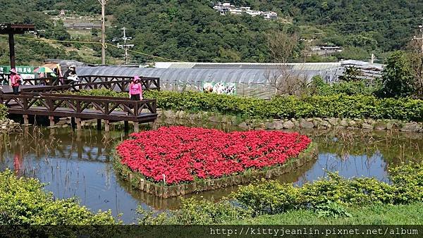 內湖白石湖吊橋%26;貴月農場採草莓趣