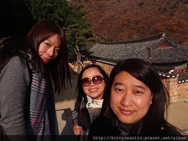 韓國國寶寺廟-金井山梵魚寺