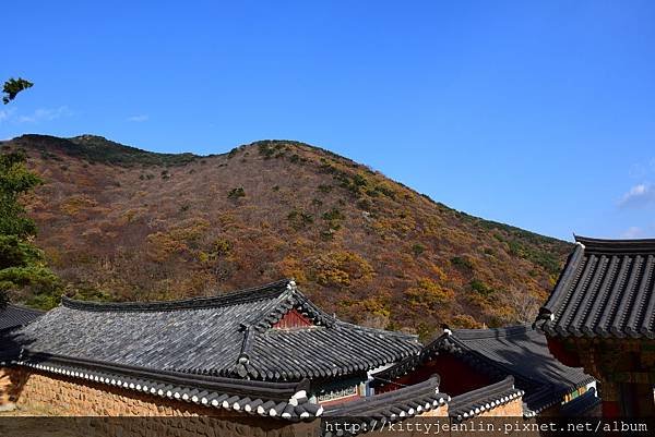 韓國國寶寺廟-金井山梵魚寺