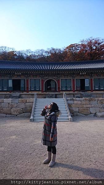 韓國國寶寺廟-金井山梵魚寺
