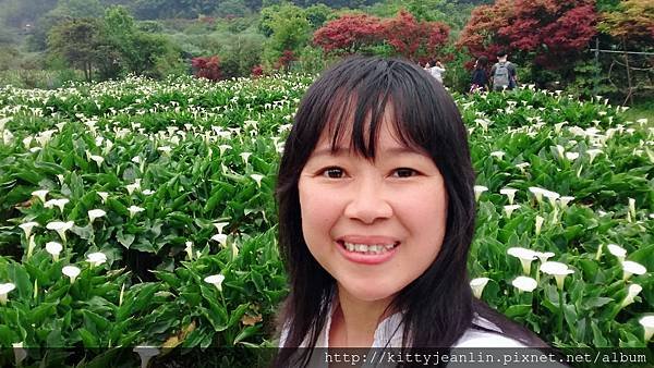 竹子湖苗榜花園餐廳