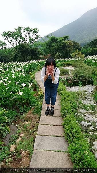 竹子湖苗榜花園餐廳