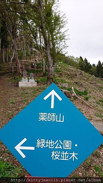 藥師山%26;綠地公園櫻並木
