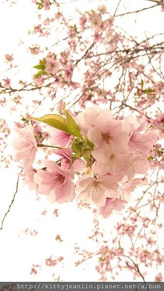 青葉ヶ丘公園