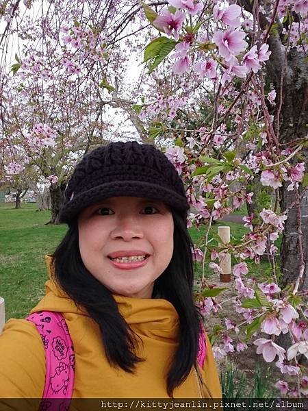 青葉ヶ丘公園