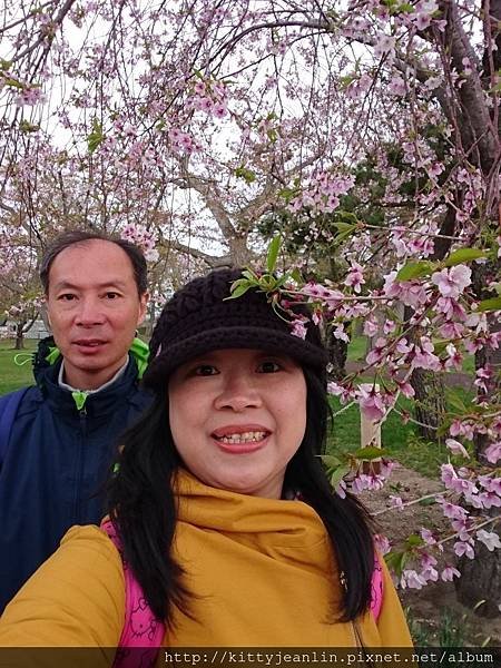 青葉ヶ丘公園