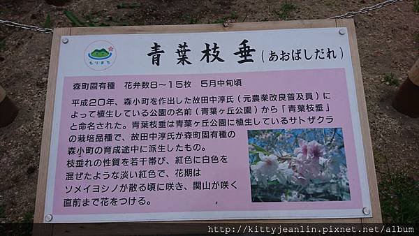 青葉ヶ丘公園