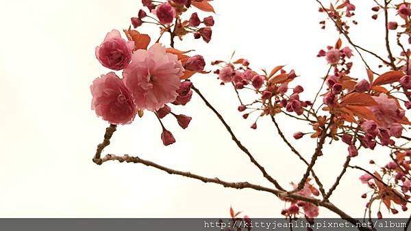 青葉ヶ丘公園