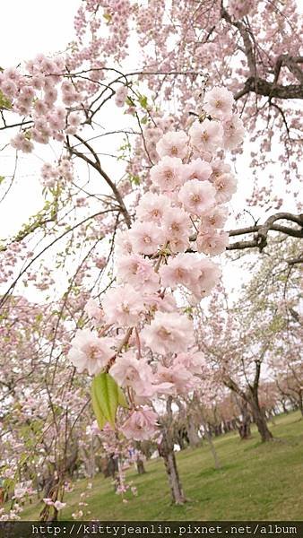 青葉ヶ丘公園