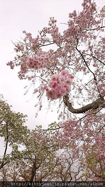 青葉ヶ丘公園