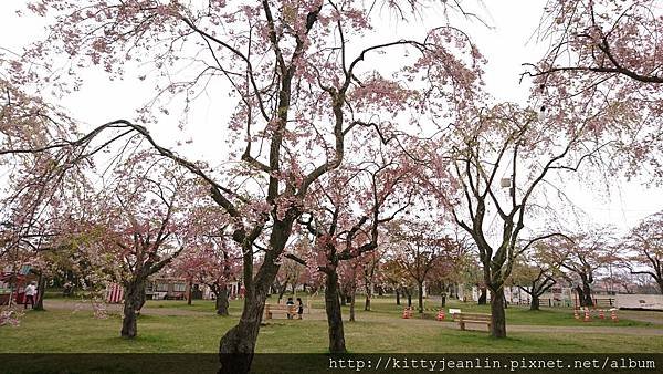 青葉ヶ丘公園