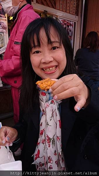 函館朝市嘗鮮趣