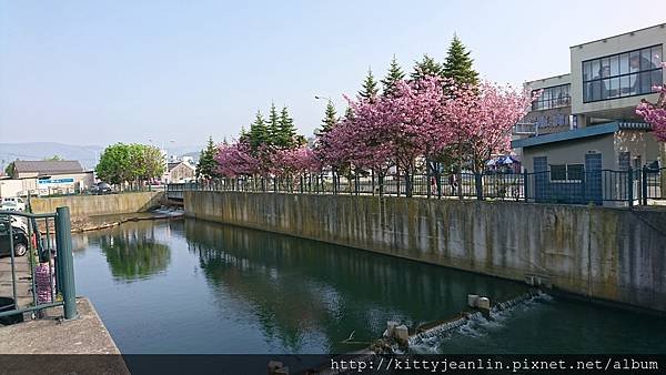小樽運河拍寫真