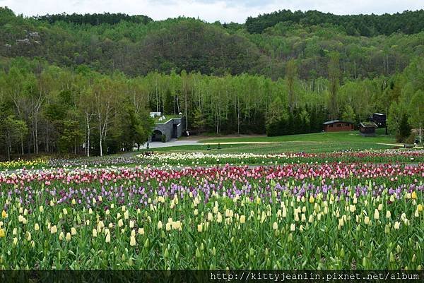 国営滝野すずらん丘陵公園