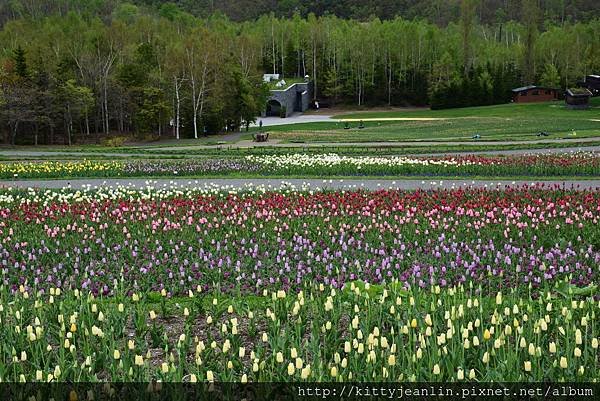 国営滝野すずらん丘陵公園