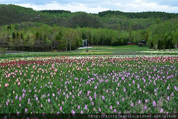 国営滝野すずらん丘陵公園