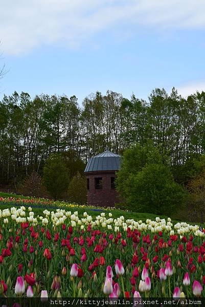 国営滝野すずらん丘陵公園
