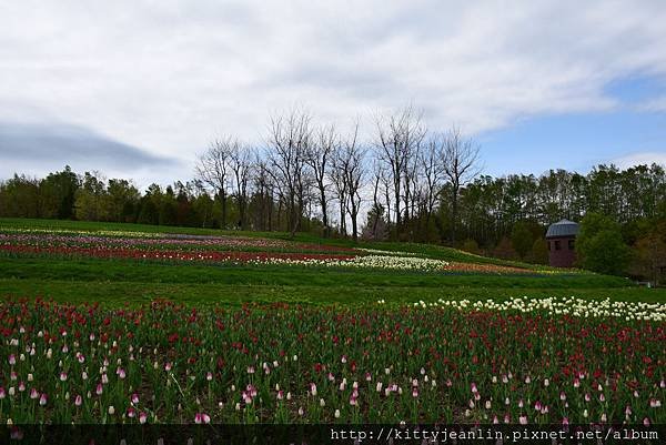 国営滝野すずらん丘陵公園