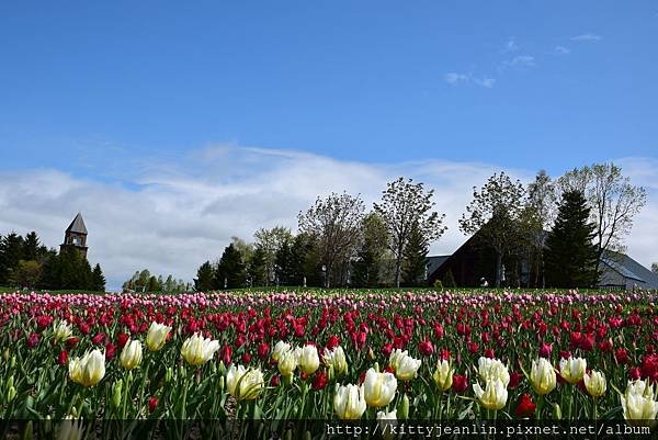 国営滝野すずらん丘陵公園