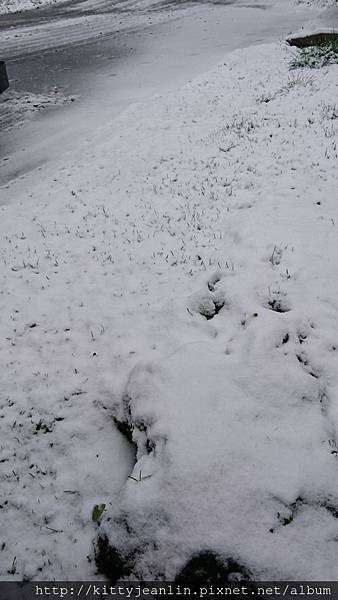 飛雪的水教堂晨見學