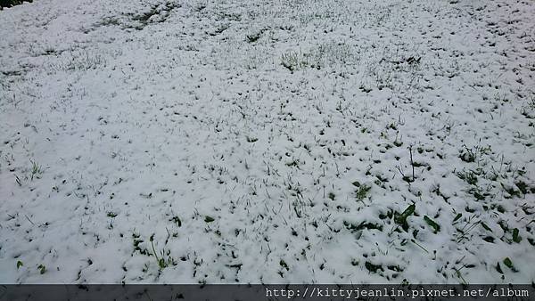 積雪的星野