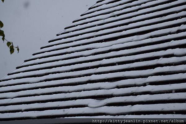 積雪的星野