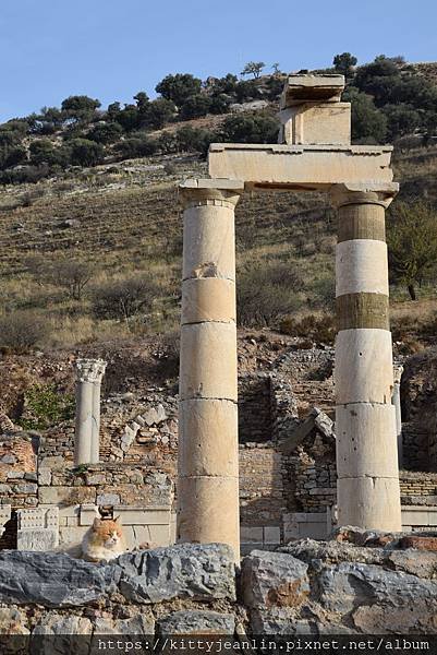艾菲索斯(Ephesus)