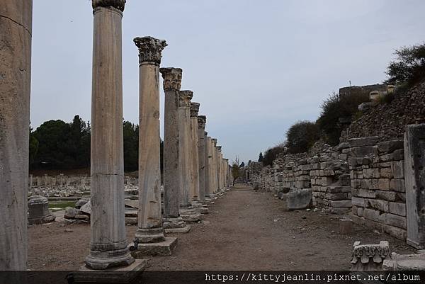 艾菲索斯(Ephesus)