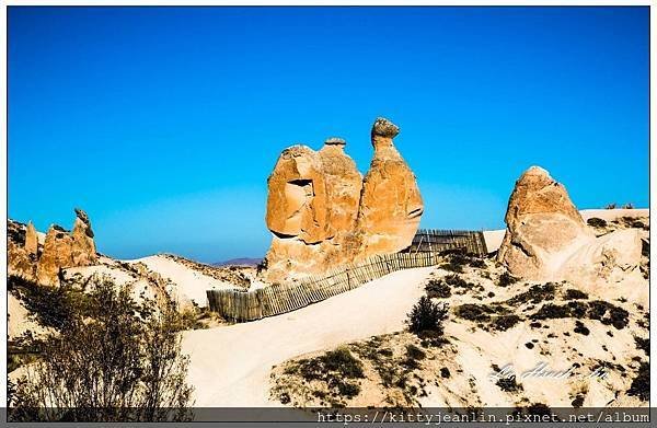 駱駝岩Camel Rock
