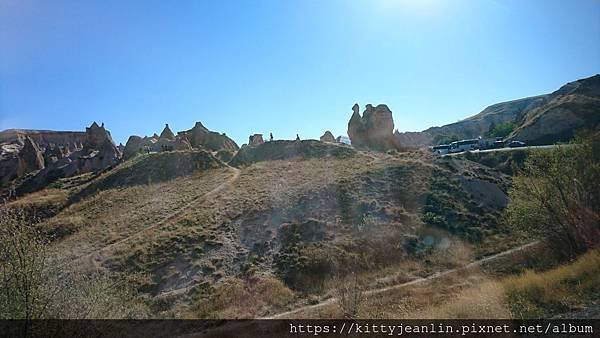 駱駝岩Camel Rock