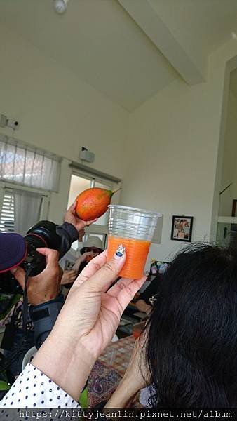 雲洲農園初嘗來自天堂的果實-木鼈果果汁