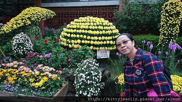 林媽媽與阿姨們的2018士林官邸-菊世遨遊