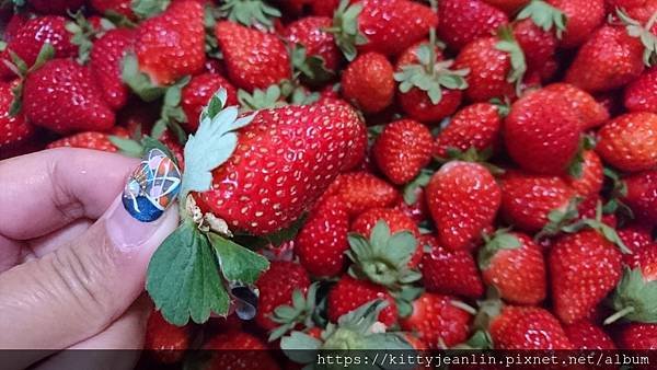 2018閒妻手作草莓果粒果醬