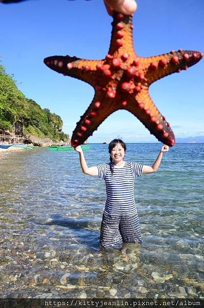 水牛島浮潛玩海星趣