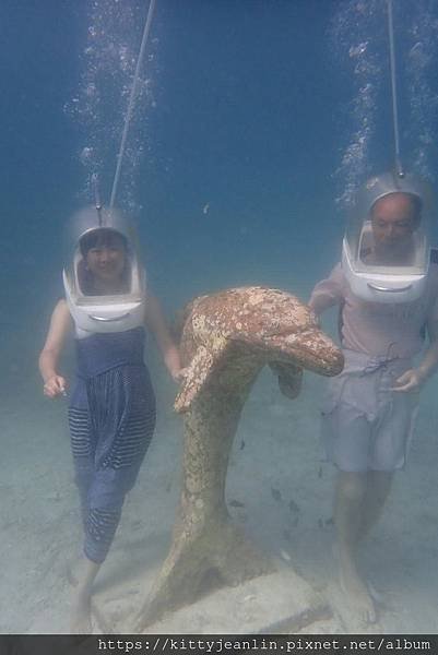 海底漫步找尼莫玩耍趣