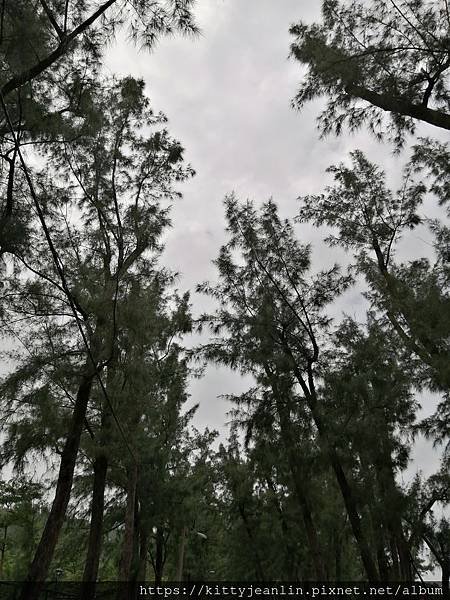 漫步 黑沙海灘