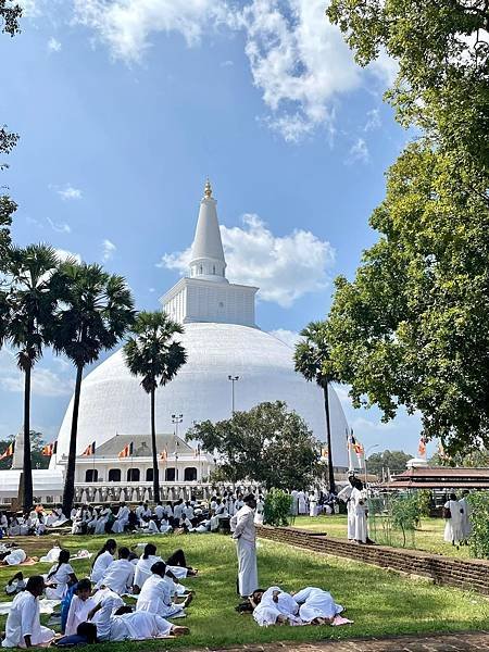 斯里蘭卡Sri Lanka 1/24-2/2