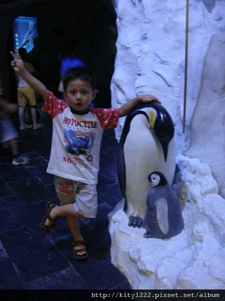 tn_DSC01091.jpg
