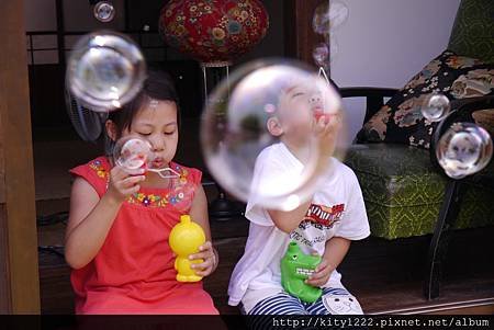 tn_P1090823