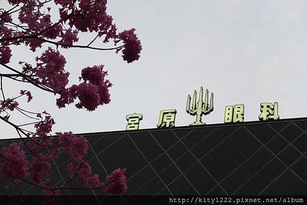 tn_DSCF7802