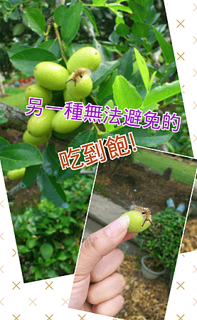 Collage 2013-07-10 06_46_46
