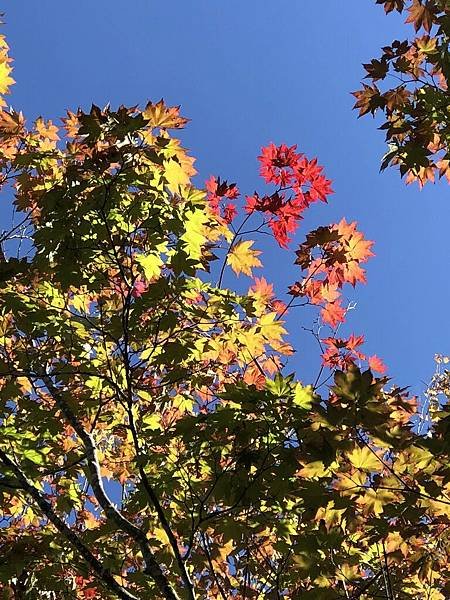 20180918_IMG_3547.JPG