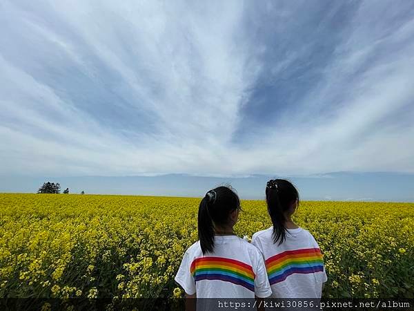 超市-滝川油菜花田-富田農場-彩香之里-富遊里小木屋(北海道