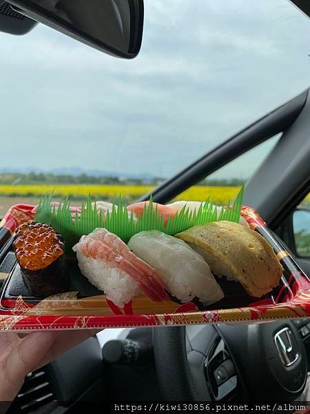 超市-滝川油菜花田-富田農場-彩香之里-富遊里小木屋(北海道